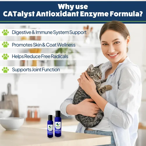 Vista 2 de Feline Essential Catalyst - Fórmula enzimática antioxidante para gatos - Enzima digestiva para gatos - Enzimas digestivas para gatos - Soporte