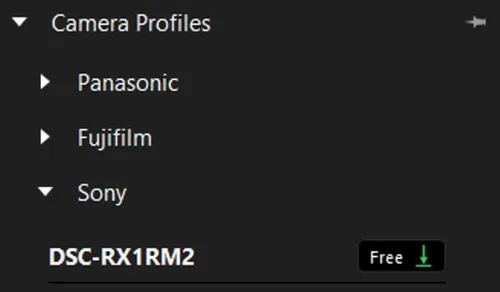 Vista 11 de Corel AfterShot Pro 3 Software de edición de fotos RAW [Descargar PC]