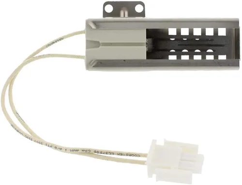 ERP DG94-00520A Range Igniter