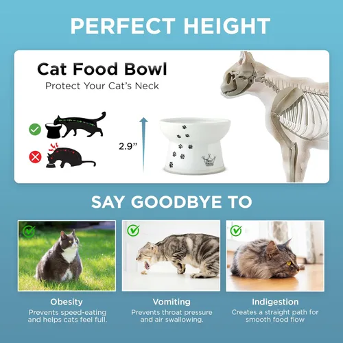 Vista 5 de Necoichi Cuenco elevado de comida para gatos sin estrés, elevado, prevención de reflujo, apto para lavavajillas y microondas, vendedor número 1