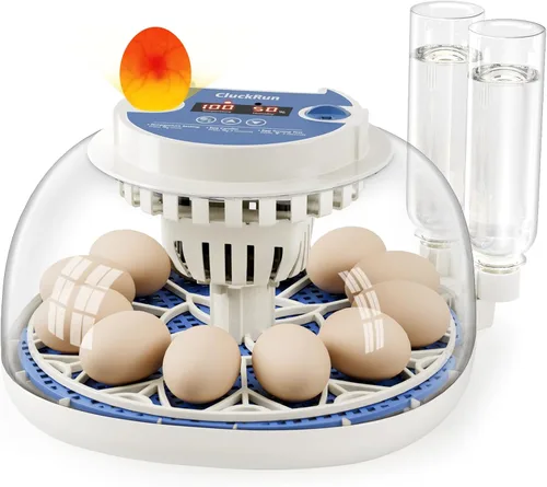 Incubadora de 12 huevos con pantalla de temperatura y humedad, giro automático de huevos, vela de huevos, recarga automática de agua, para huevos de