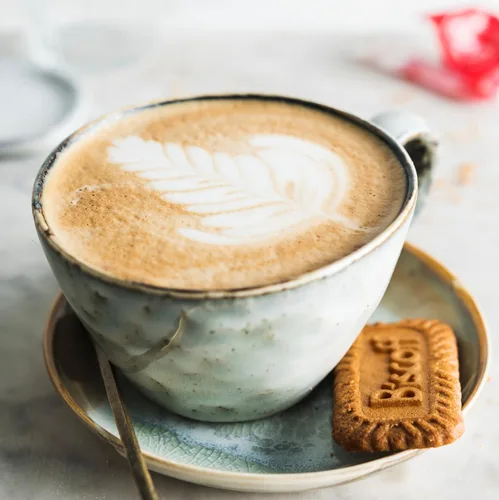 Vista 7 de Lotus Biscoff - Galletas de avión caramelizadas, paquete de dos (80 unidades), veganas