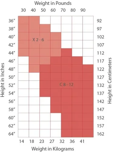 Vista 5 de Capezio Mallas Studio Basics para Mujer