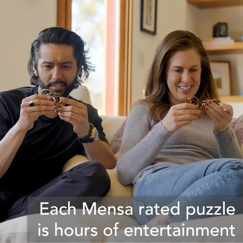 Vista 7 de BePuzzled Box Hanayama Metal Brainteaser Puzzle Mensa Rated Level 2, for Ages 12 and Up