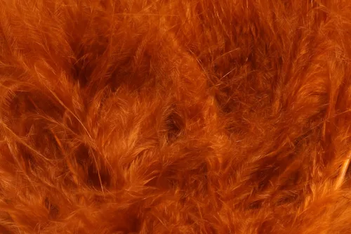 Vista 16 de Hareline Fly Tying X-Select Marabou – Premium Marabou Feathers for Fly Tying Streamers, Woolly Buggers & Leeches