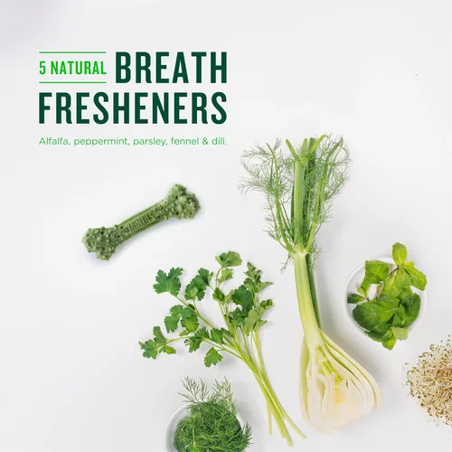 Vista 5 de Minties VetIQ - Golosinas dentales para perros, masticables dentales para perros pequeños/pequeños (menos de 40 libras), 40