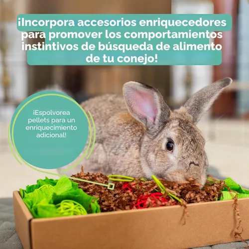 Vista 9 de Oxbow Essentials, alimento básico para la salud del conejo adulto