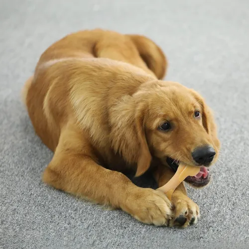 Vista 7 de Tikaton Juguetes masticables para perros para masticadores agresivos, sabor a pollo, juguetes masticables duraderos para dentición de perros, huesos