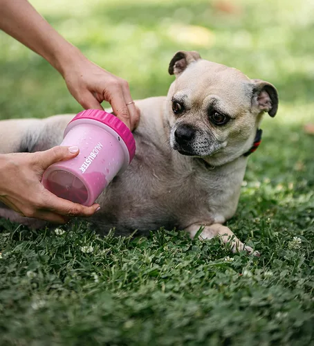 Vista 5 de Dexas Limpiador de patas de perro, pequeño, rosa, accesorios para perros y suministros para mascotas
