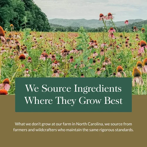 Vista 9 de Gaia Herbs Fito cápsulas de cúrcuma líquida suprema para mayor fuerza, 1, 1