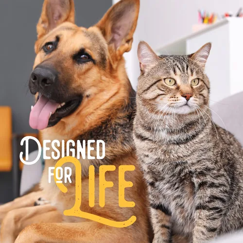 Vista 8 de RUFFIN' IT Reaowazo Woodlands - Juguete de peluche para perro, pequeño