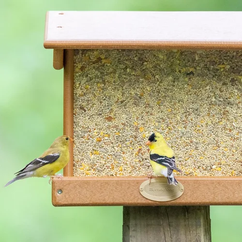 Vista 8 de Mañana canción limpio y libre
